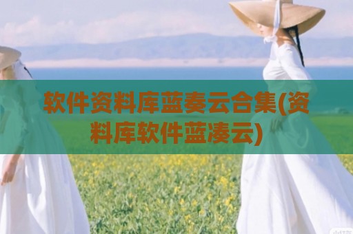 软件资料库蓝奏云合集(资料库软件蓝凑云)
