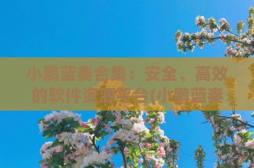 小鹏蓝奏合集：安全、高效的软件资源平台(小鹏蓝奏云破解版)