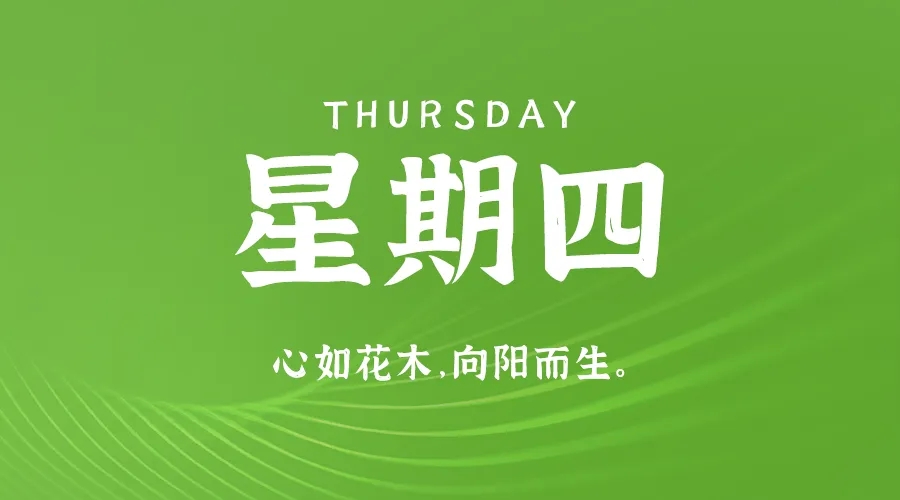 【2024.8.15】60秒读懂世界